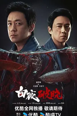 《白夜破晓》：迷雾重重！这剧情，看完脑仁都疼，绝对是烧脑神作！