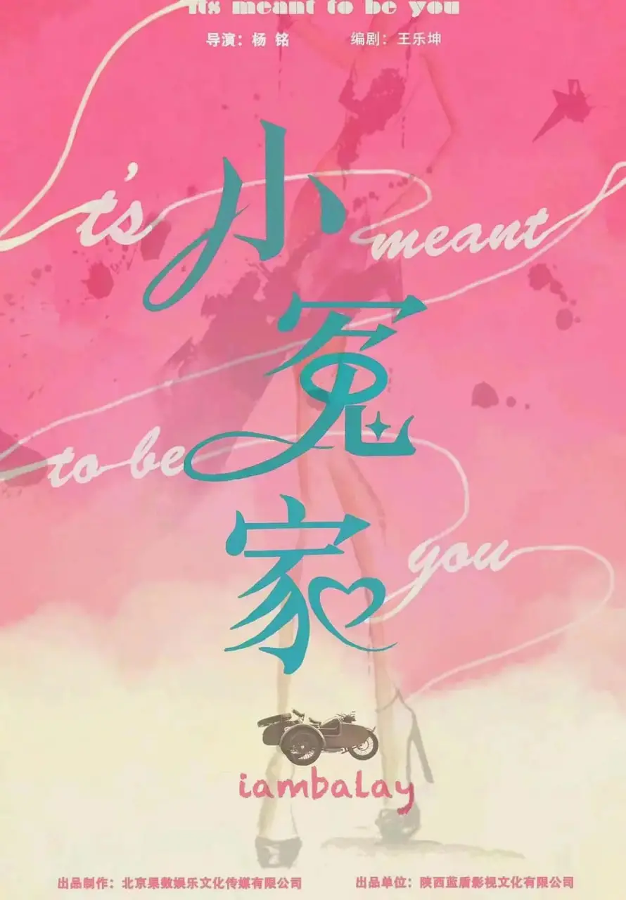 《我的媳妇不好惹》：是神剧还是注水？揭秘“娱乐圈”女人的那些事儿，比“黑客军团第二季”还刺激！