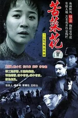 《苦菜花 2004》：时代的眼泪还是时代的赞歌？看完我沉默了...