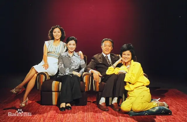 家变1977 海报