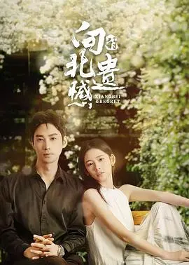 《向北的遗憾》：国产低配版《继承之战》？这玄幻巨制看得我原地裂开！