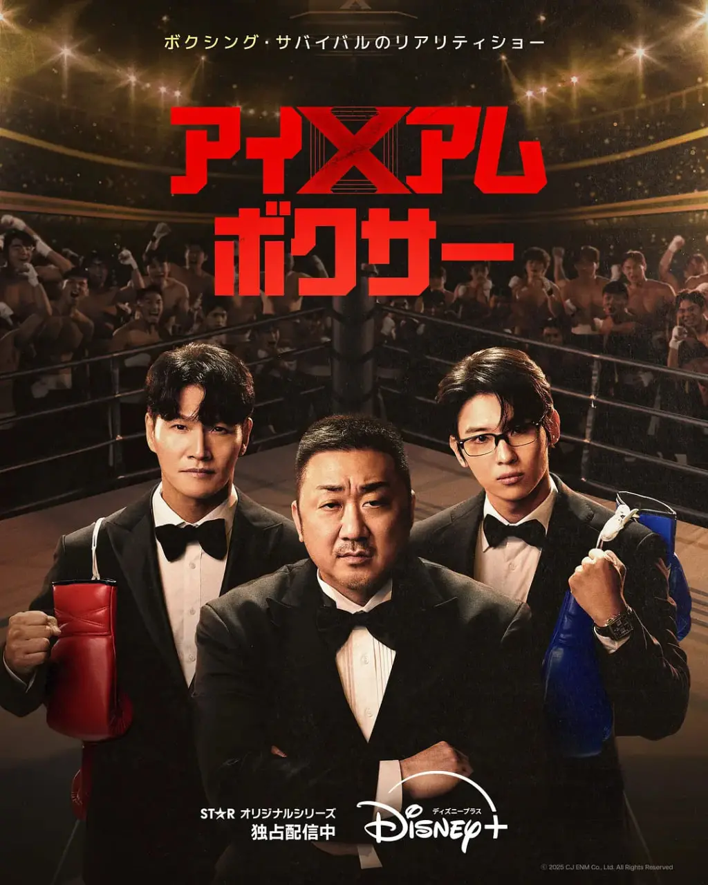 《拳王争霸》：热血挥洒赛场，感受纯粹的搏击力量！